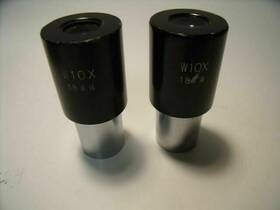 Microscope Lenses W10x Lot Of 2 Parco