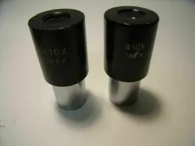 W10x Microscope Lenses Lot Of 2 Parco