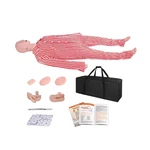 Patient Care Nursing Medical Manikin, Multifunction Cpr Human Manikins 25 Ite... New. Price: $393.51.
